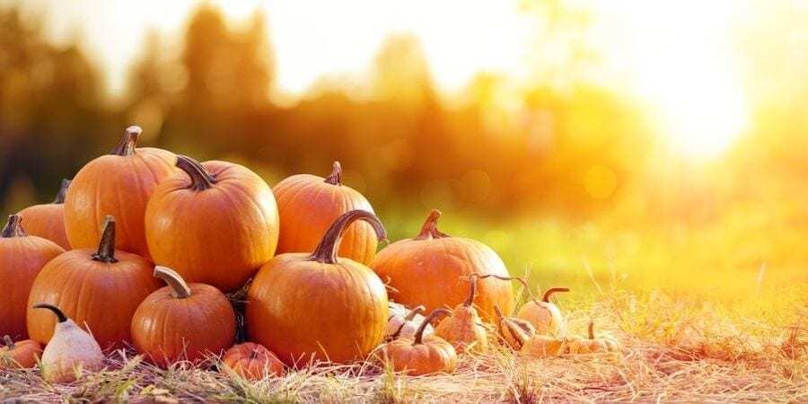 October Newsletter